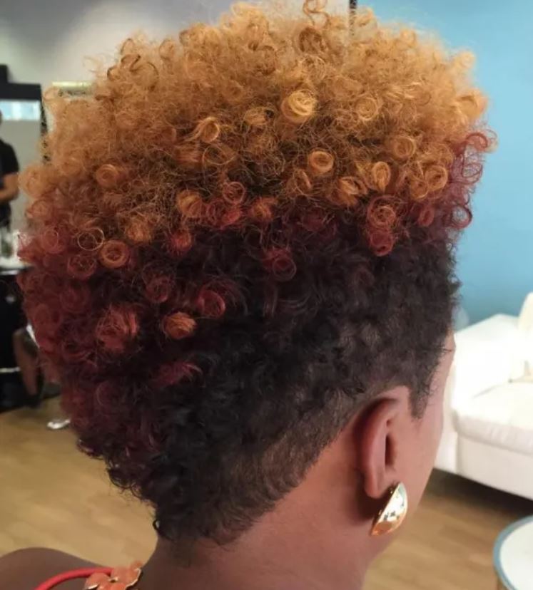 Science Behind Herbs for your Natural Hair Regimen